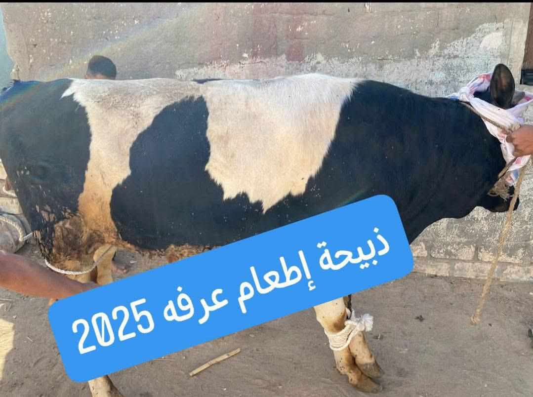 خيرٌ يفيض... لإطعامِ يومِ عرفة